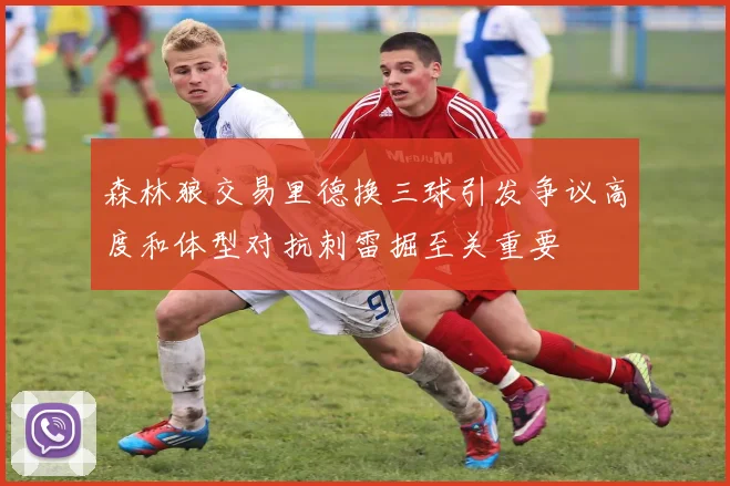森林狼交易里德换三球引发争议高度和体型对抗刺雷掘至关重要